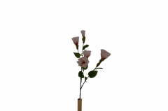   LISIANTHUS SINGLE 70CM PINK