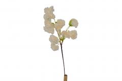    110CM PEACH