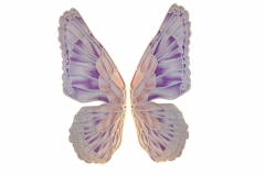   GIANT GLOWING BUTTERFLY 240CM WARM WHITE