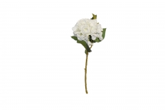   HYDRANGEA CURLES H.44CM WHITE