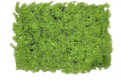  (GREEN WALL) 40*60CM FENNEL GRASS LIGHT GREEN