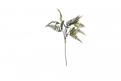  BUSH AZORA FERN 100CM LIGHT GREEN