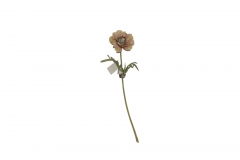   FAIRY POPPY 44CM LAVENDER