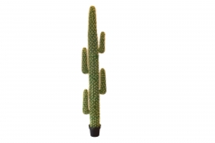       200CM GREEN