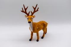    20cm /