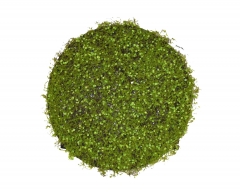     D.65CM NATURAL GREEN