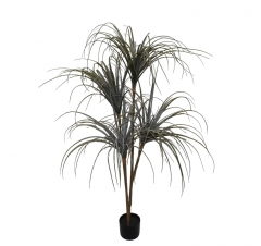   DRACENA   170CM GREEN