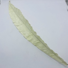   big fern velvet 100cm white