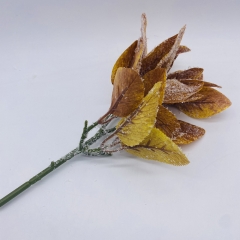   liguster 22cm autumn 