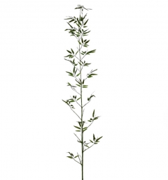  BAMBOO 250CM GREEN