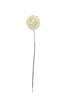   STEM PLANET D.12 H.78CM WHITE