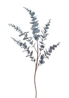  BUSH LONG EUCALYPTUS 96CM GRAY