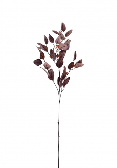   FRUITING EUCALYPTUS 78cm BORDEAUX