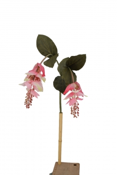   BAOLIAN LANTERN*2 120CM PINK