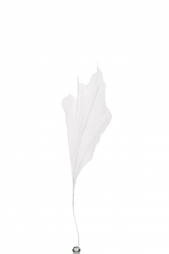  PAMPAS  80CM WHITE