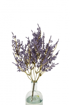  BUSH MINI MILLET GRASS H.37CM LAVENDER