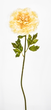   BIG PEONY D.25CM/H.100CM CREAM