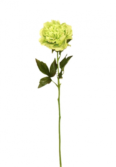 ΤΕΧΝΗΤΟ ΑΝΘΟΣ JULIET PEONY H.56CM GREEN