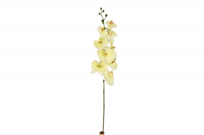ΤΕΧΝΗΤΟ ΚΛΑΔΙ ΟΡΧΙΔΕΑ PHALAENOPSIS H.110CM CREAM