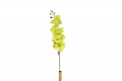 ΤΕΧΝΗΤΟ ΚΛΑΔΙ ΟΡΧΙΔΕΑ PHALAENOPSIS H.110CM GREEN
