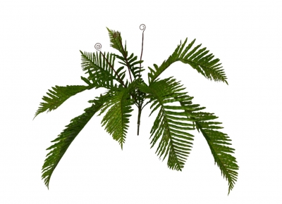 ΤΕΧΝΗΤΟ BUSH BIG LEAF FERN 78CM GREEN
