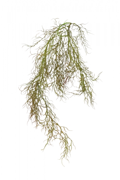 ΤΕΧΝΗΤΟ BUSH HANGING VINE ROOT 102CM AUTUMN GREEN