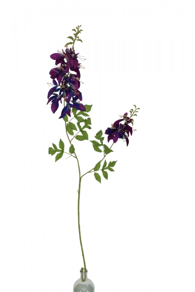 ΤΕΧΝΗΤΟ ΚΛΑΔΙ ERYTHRINA PURPLE