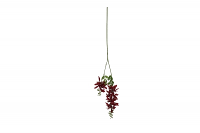 ΤΕΧΝΗΤΟ ΚΛΑΔΙ ERYTHRINA RED