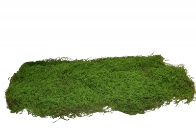 ΠΑΚΕΤΟ ΤΕΧΝΗΤΟ CARPET MOSS 1kg NATURAL GREEN
