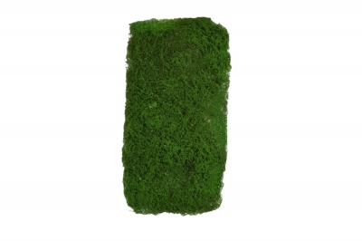 ΠΑΚΕΤΟ ΤΕΧΝΗΤΟ BULK MOSS 1kg NATURAL GREEN