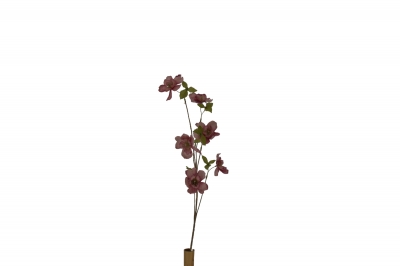 ΤΕΧΝΗΤΟ ΚΛΑΔΙ WILD PEONY 80CM DUSTY PINK