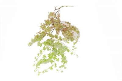 ΤΕΧΝΗΤΟ BUSH HANGING MEADOW 120CM WHITE
