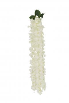  BUSH HANGING WISTERIA*5 120CM CREAM