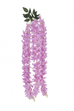  BUSH HANGING CLIVIA*5 88CM PURPLE
