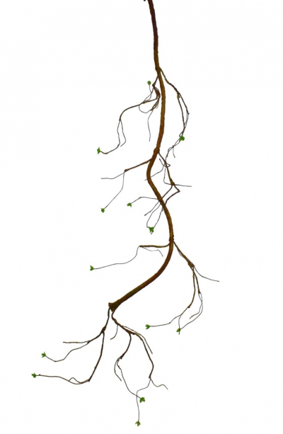 ΤΕΧΝΗΤΟ ΚΛΑΔΙ ΡΙΖΑ 180CM NATURAL