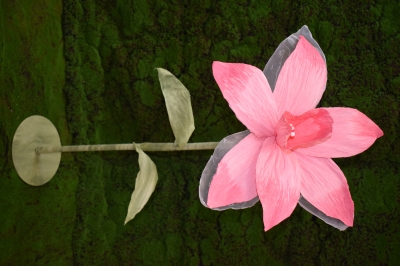 GIANT NARCISSUS ΜΕ ΒΑΣΗ D.40CM FUSCHIA