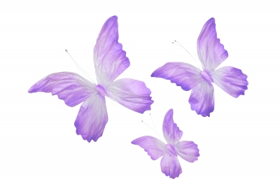 S/3 ΠΕΤΑΛΟΥΔΕΣ PAINTED 50/70/90CM PURPLE