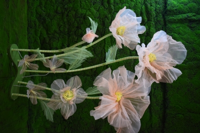 SET/4 GIANT FAIRY FLOWER D.30/40/50/60CM H.170CM SALMON PINK