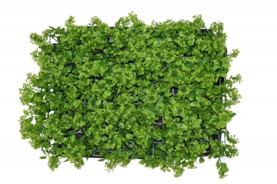 ΚΑΘΕΤΟΣ ΚΗΠΟΣ(GREEN WALL) DANDELION GRASS 40*60CM GREEN