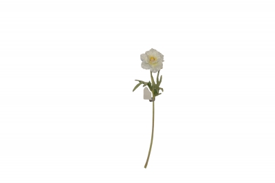 ΤΕΧΝΗΤΟ ΑΝΘΟΣ FAIRY POPPY 44CM WHITE