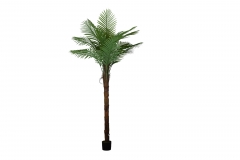   PALM TREE 1  240CM 15   GREEN