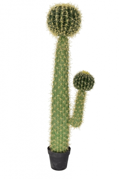 ΤΕΧΜΗΤΟ ΦΥΤΟ ΣΕ ΚΑΣΠΩ ΕΧΙΝΟΚΑΚΤΟΣ 130CM GREEN