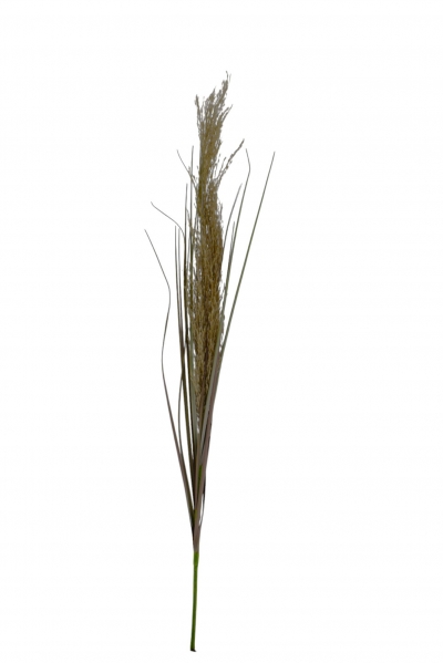 ΤΕΧΝΗΤΟ SPRAY REED GRASS 86CM NATURAL
