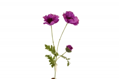 ΤΕΧΝΗΤΟ ΑΝΘΟΣ POPPYx3 H.74 D.9CM DUSTY PINK