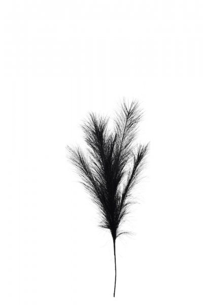 ΤΕΧΝΗΤΟ PAMPAS ΥΦΑΣΜΑΤΙΝΟ 80CM BLUE BLACK