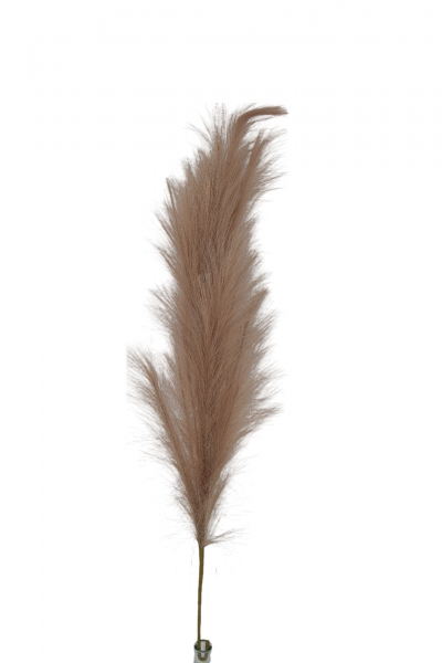 ΤΕΧΝΗΤΟ PAMPAS ΥΦΑΣΜΑΤΙΝΟ 100CM BEIGE