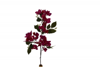 ΤΕΧΝΗΤΟ ΚΛΑΔΙ BOUGAINVILLEA 78cm/42 ΜΠΟΥΜΠΟΥΚΙΑ FUSCHIA