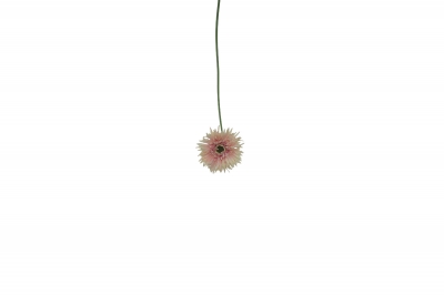 ΤΕΧΝΗΤΟ ΑΝΘΟΣ ΖΕΡΜΠΕΡΑ H.45CM D.11CM PINK