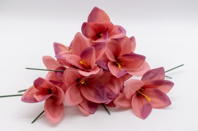 ΠΑΚΕΤΟ S/12 ΑΜΑΡΥΛΛΙΣ PICK 10cm DUSTY PINK