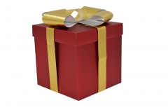   20*20*20cm red box/gold bow